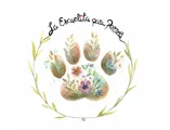 Empresa colaboradora