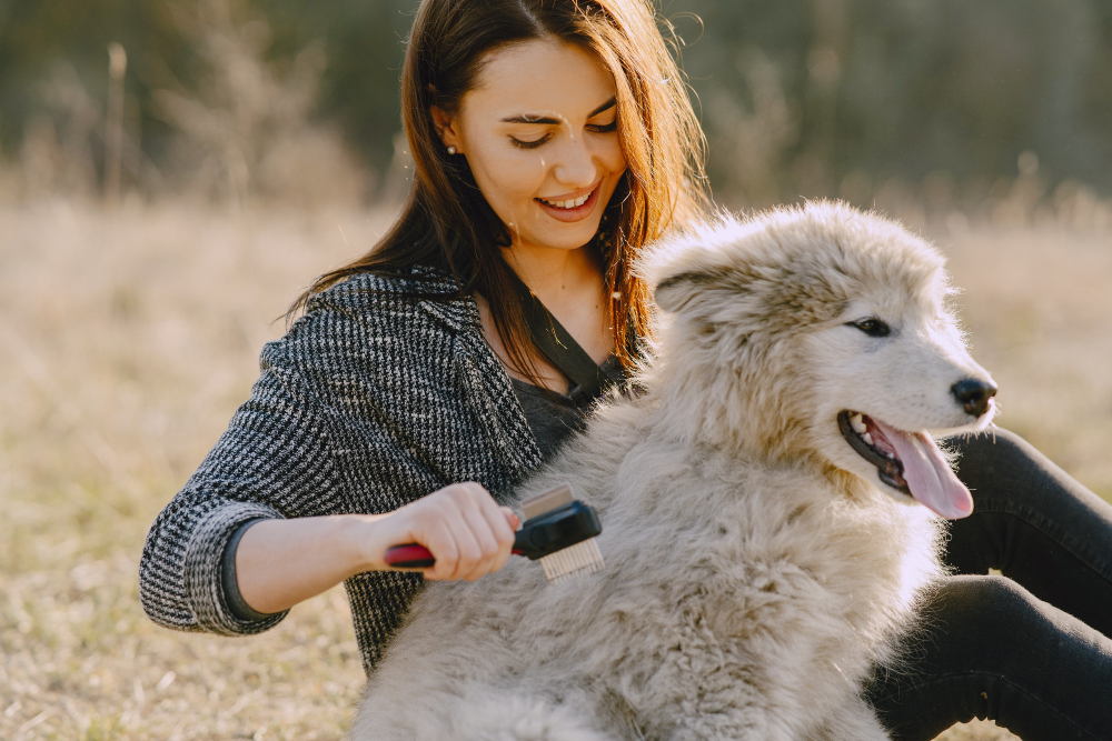 Peluquería Canina y Felina online